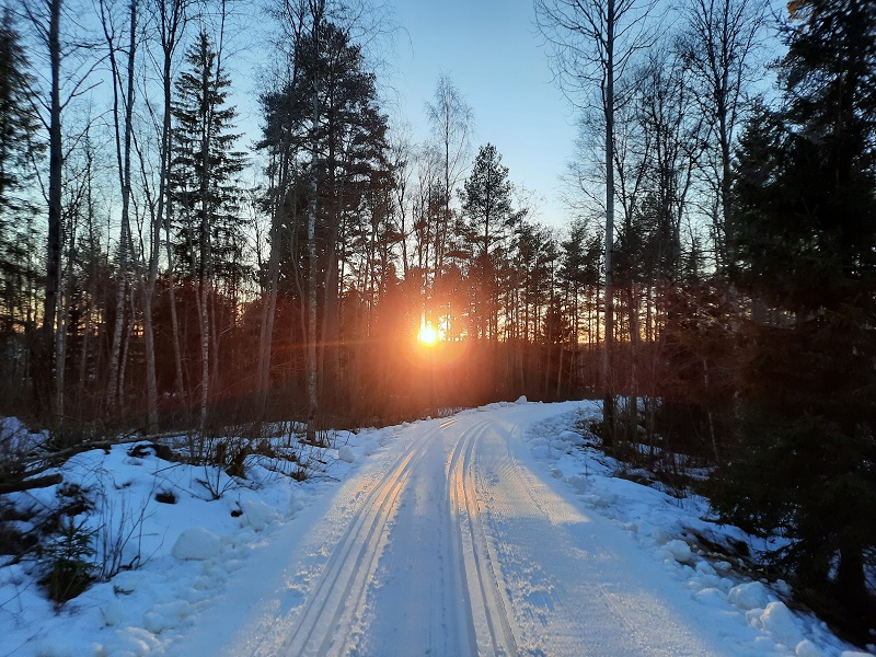 Längdskidlektioner i Norberg